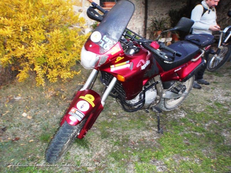0050.JPG - moto bagnate dalla guazza notturna..