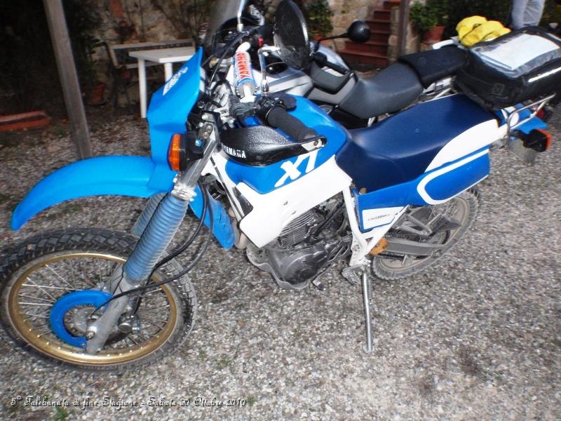 0054.JPG - moto bagnate dalla guazza notturna..