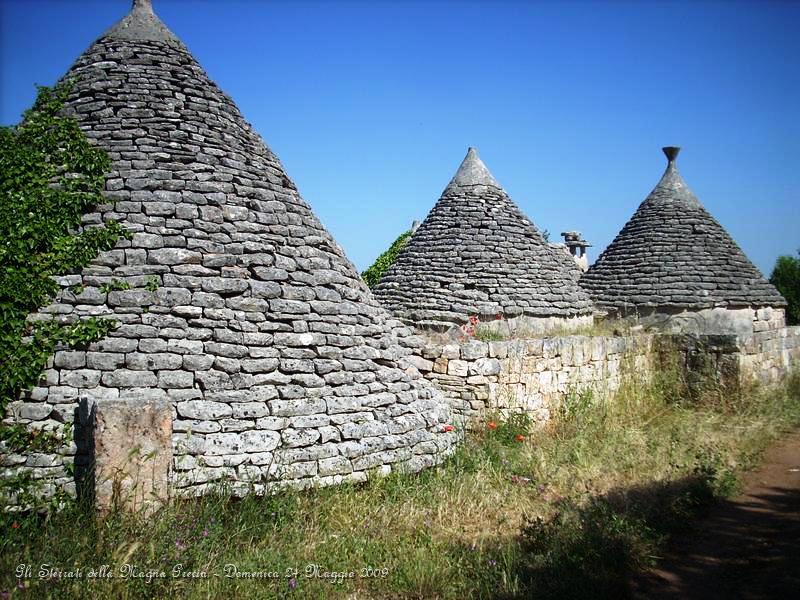 DSCN5859.JPG - Le dimore a trullo sono dominate dall'uso esterno della pietra a sfoglie, le 'chiancole', che rivestono il cono..