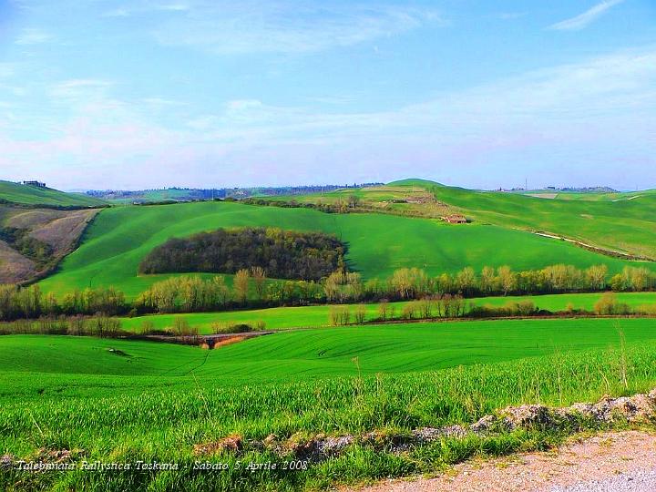 0219.JPG - Campi di Grano