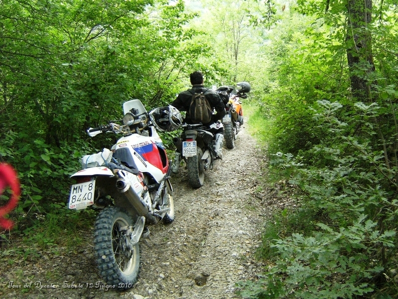 040.JPG - Inizia il percorso guidato nel bosco..