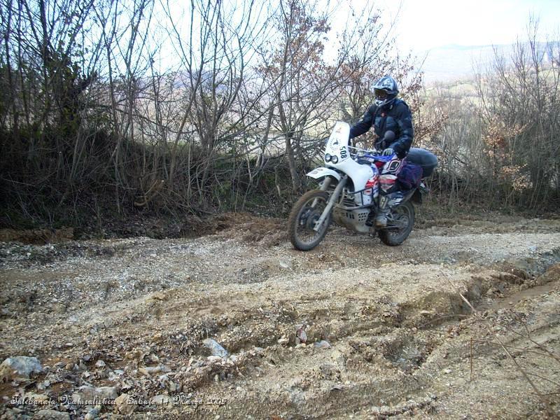 0145.JPG - Maculato in piedi