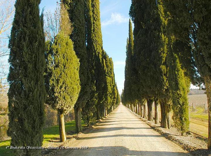 060.jpg - Sterrata tipica Toscana..