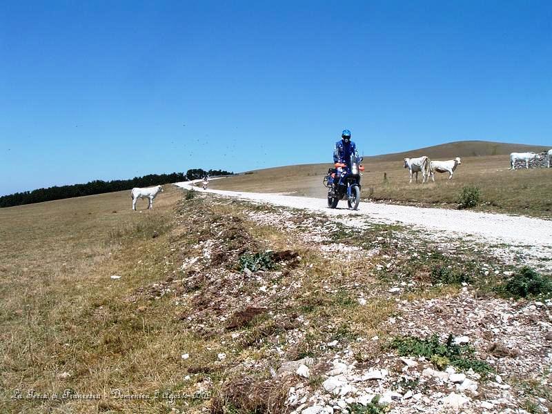 DSCF1168.JPG - Qui siamo sul Monte Pennino