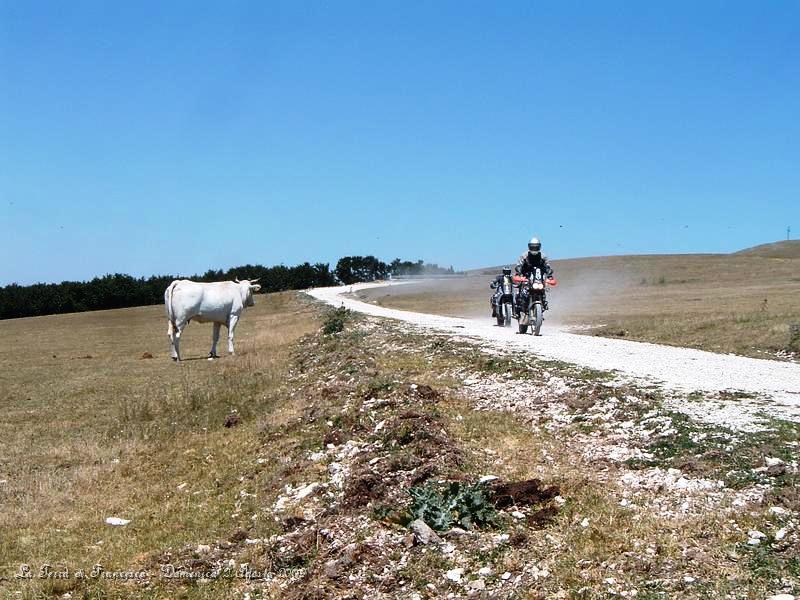 DSCF1170.JPG - Qui siamo sul Monte Pennino