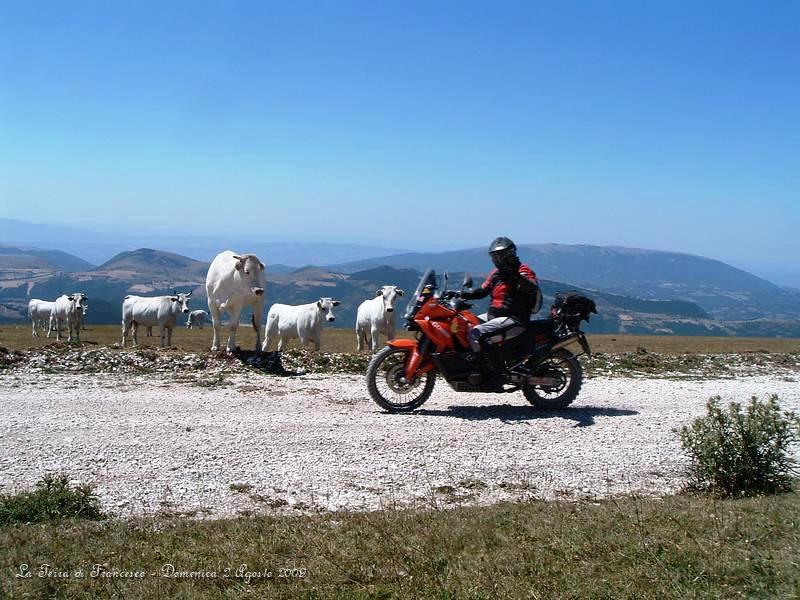 DSCF1175.JPG - Qui siamo sul Monte Pennino