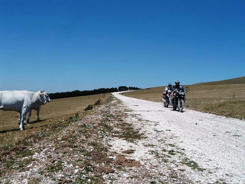 DSCF1185.JPG - Qui siamo sul Monte Pennino