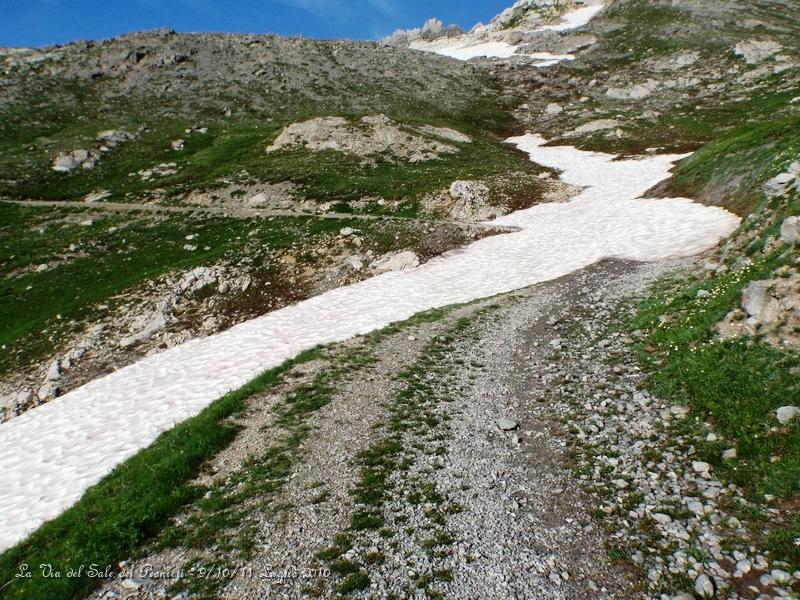 P7110319.JPG - Una ligna di neve sbarra la strada, qui siamo sul valico della Gardetta...