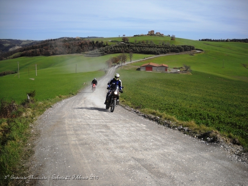 DSCN6257.JPG - Il 27 Febbraio il grano è già spuntato..