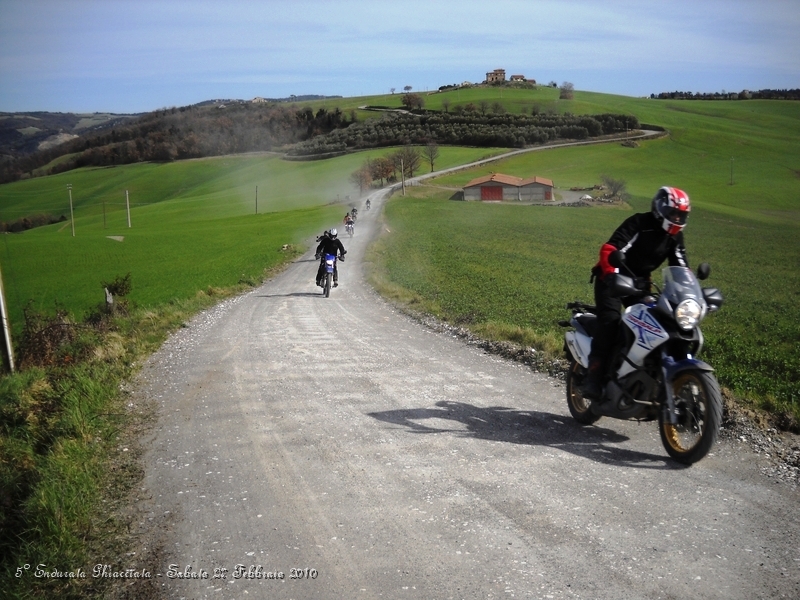 DSCN6258.JPG - Il 27 Febbraio il grano è già spuntato..