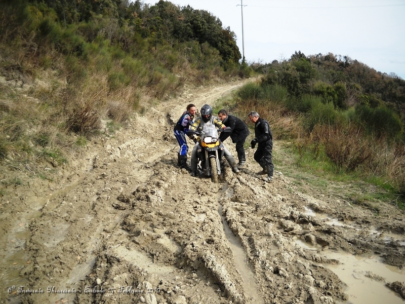 DSCN6283.JPG - Ecco le grosse bicilindriche