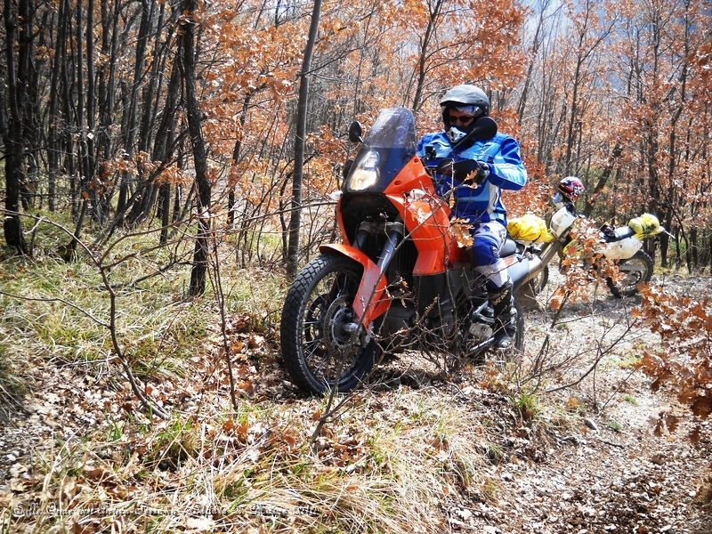 DSCN7128.JPG - Ecco, strappetto impegnativo in mezzo al bosco...