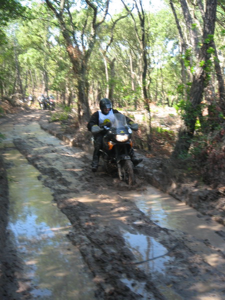 0195_C2C.JPG