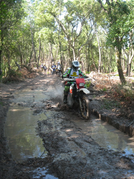0196_C2C.JPG