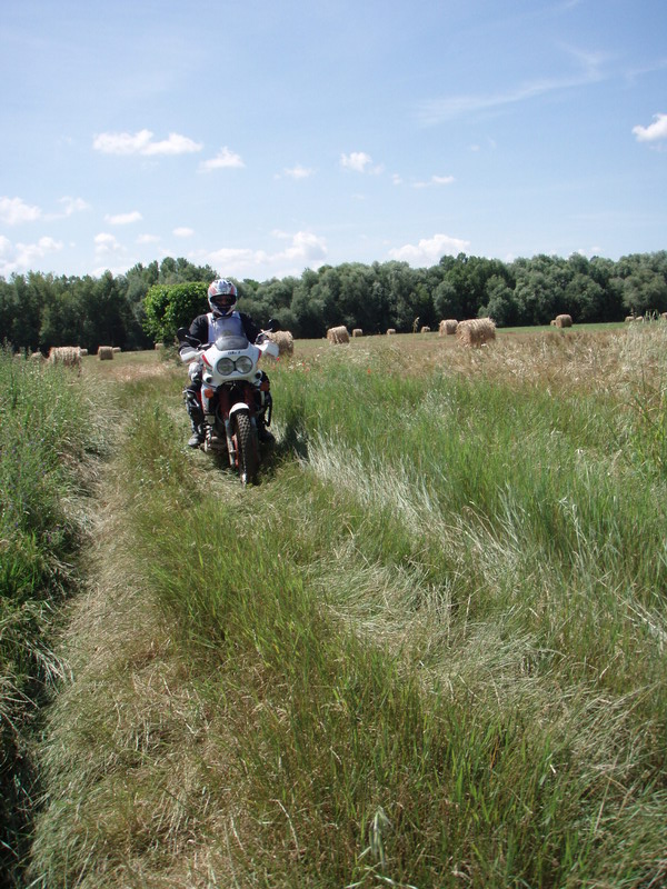 0267_C2C.JPG