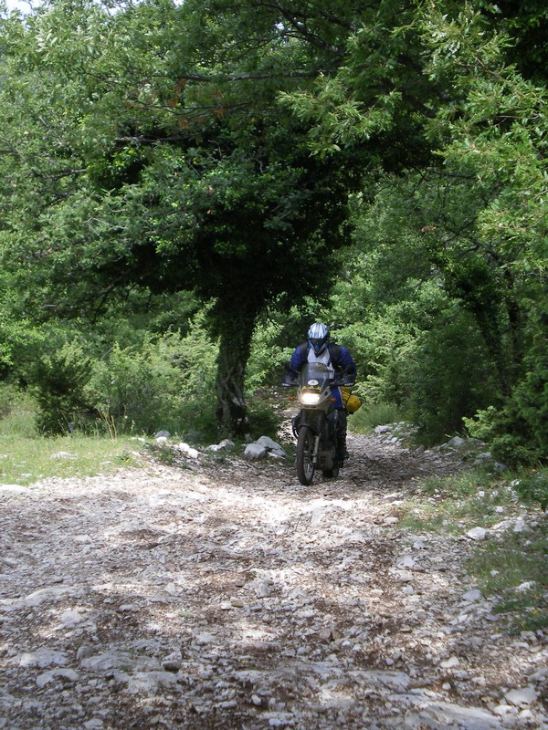 0688_C2C.jpg