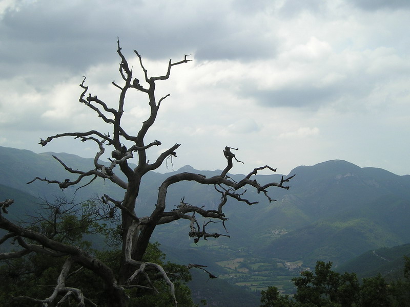 0822_C2C.JPG
