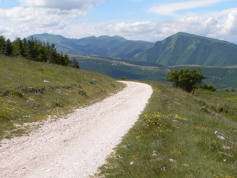 1277_C2C.JPG