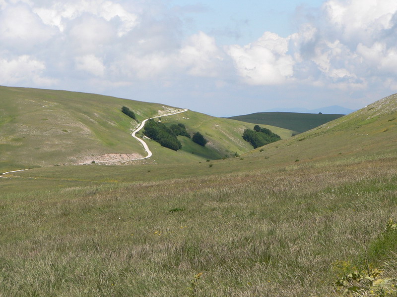 1312_C2C.JPG