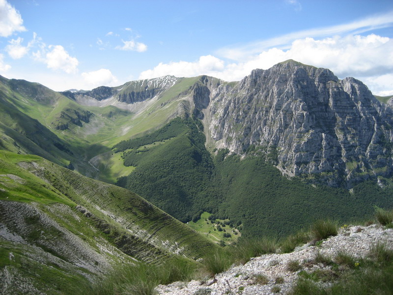1341_C2C.JPG