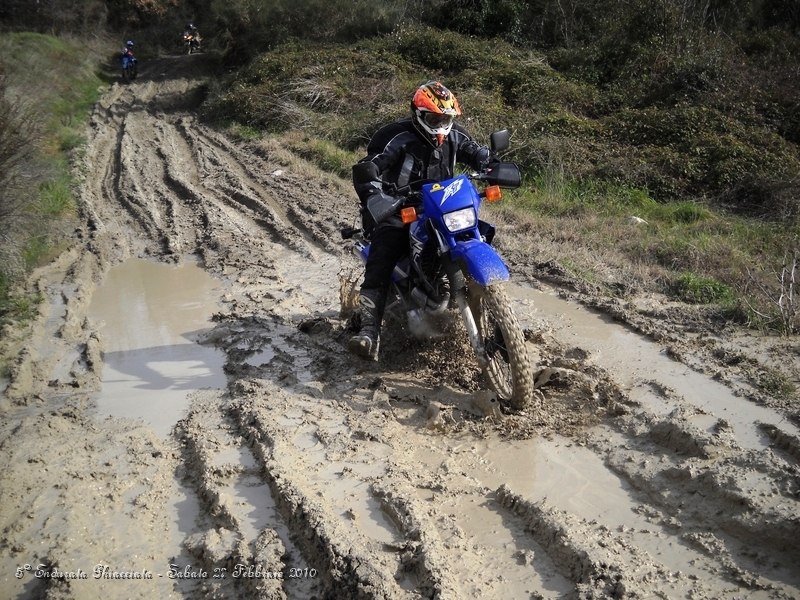 DSCN6325.JPG - Xt